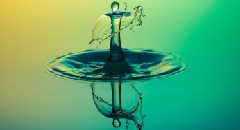 Le “Flow” ou l’état de concentration ultime
