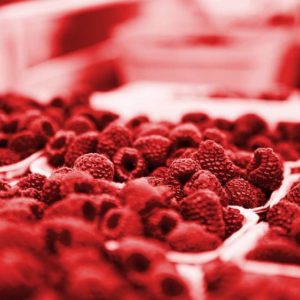 Extending your life expectancy through diet