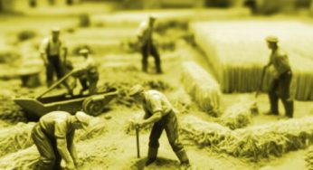 L’humain et l’effondrement du travail