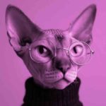 We Do Not Change We Do Not Change