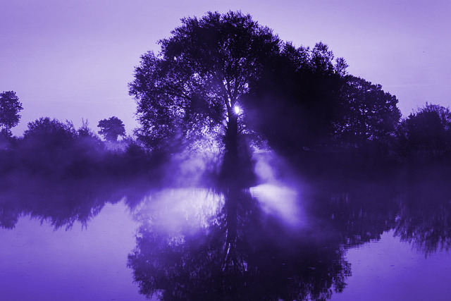 Rising Or Falling Sap Excellence Thinking